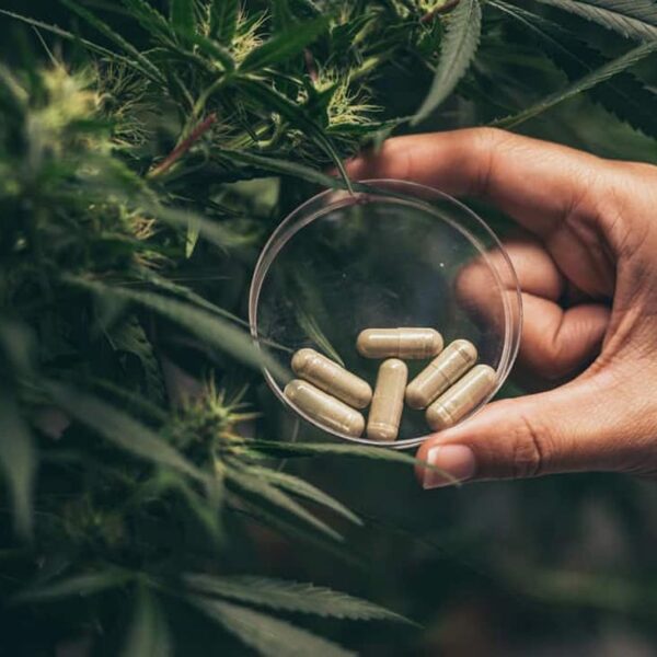 capsule di cbd