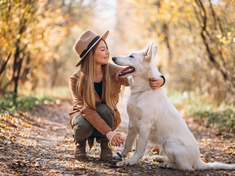 cbd per animali