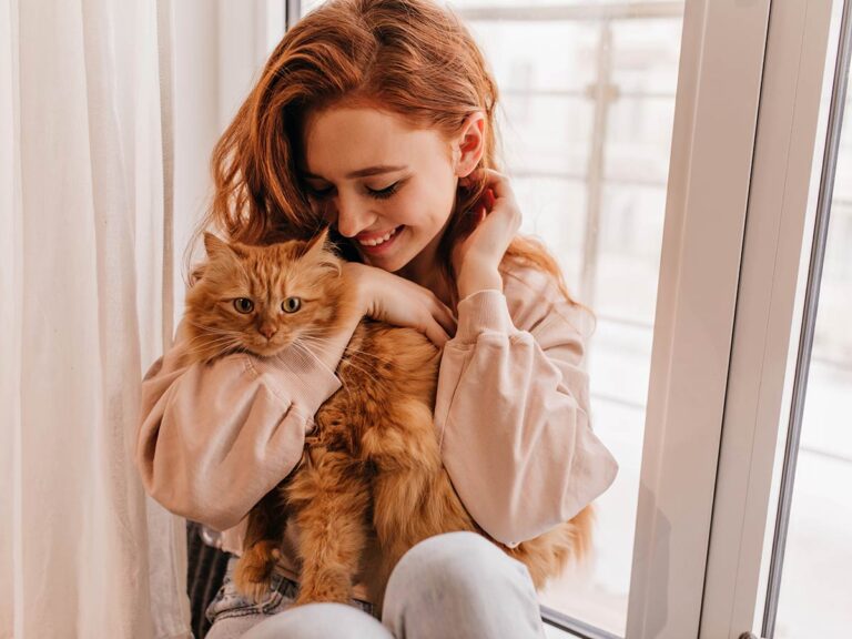 cbd per gatti