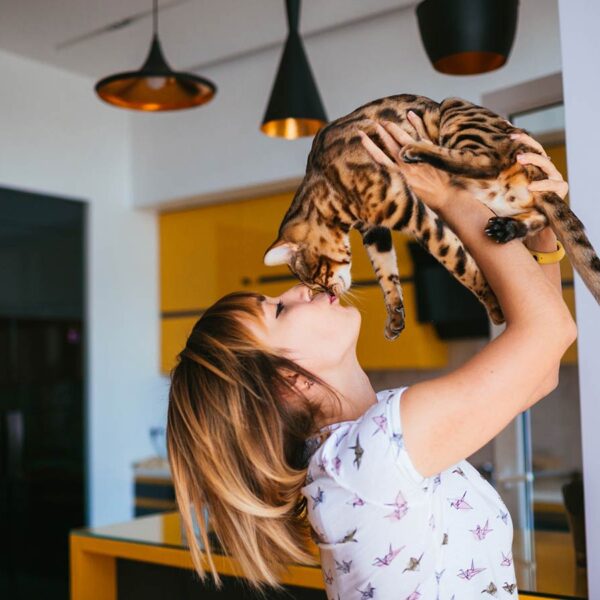 cbd per gatti