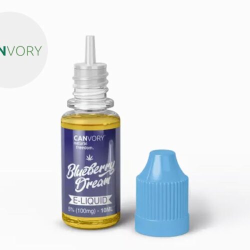 E-liquid Blueberry Dream CBD (500mg) - Canvory