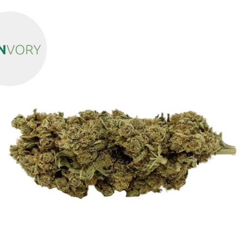 Bubblegum CBD 5% - Canvory