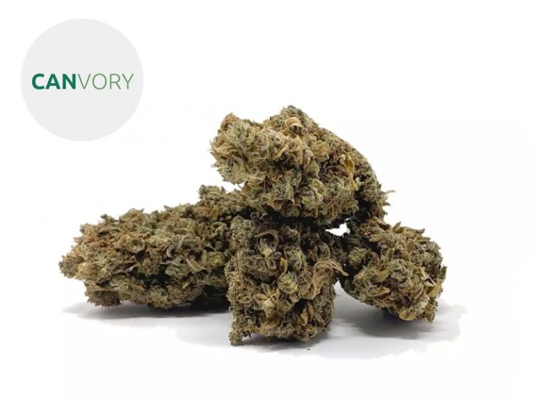 Strawberry CBD 14% - Canvory