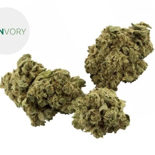 Silver Haze 4% - Canvory