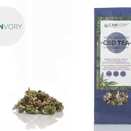 Tè alla canapa CBD Premium - Canvory