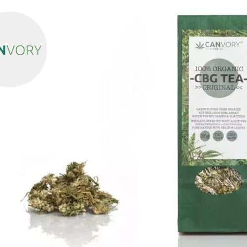 Tè alla canapa CBG - Canvory