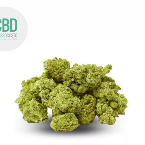 White Widow CBD 20% - Cbdabassocosto