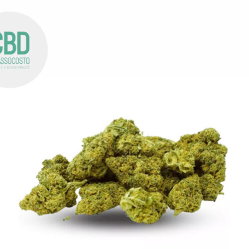 Super Silver Haze CBD 19% - Cbdabassocosto