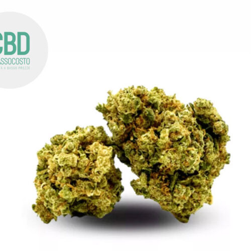 Candy Kush CBD 11% - Cbdabassocosto