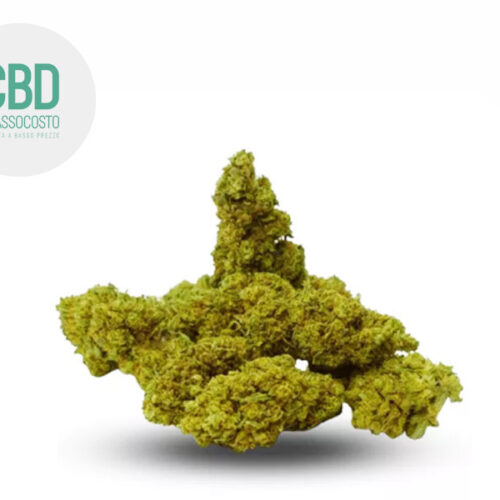 Northern Light CBD 15% - Cbdabassocosto