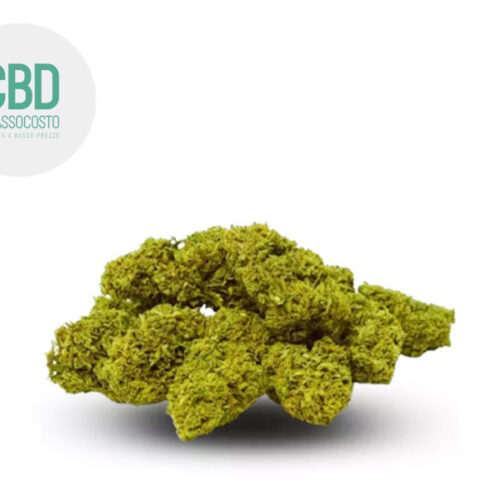 Jack Herer CBD 19% - Cbdabassocosto