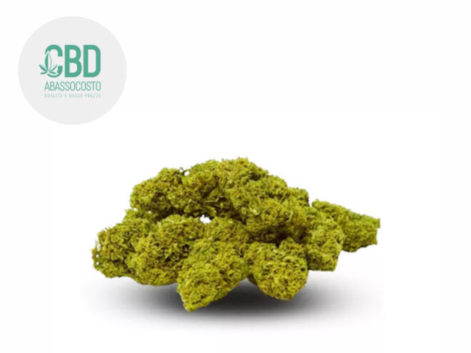 Jack Herer CBD 19% - Cbdabassocosto