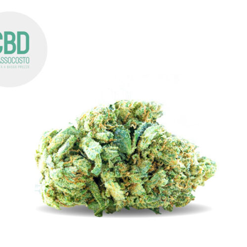 Bubble Gum CBD 15% - Cbdabassocosto