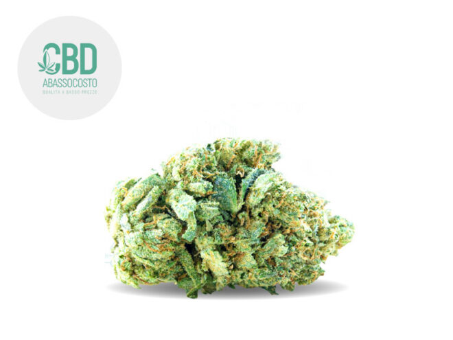 Bubble Gum CBD 15% - Cbdabassocosto