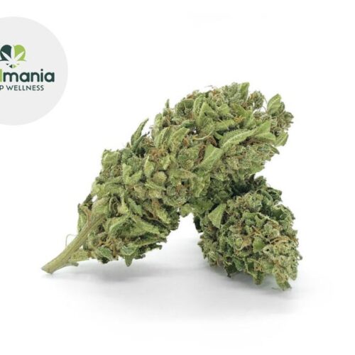 Orange CBD 12