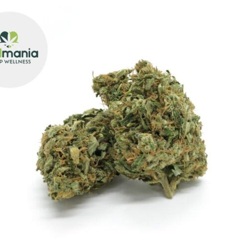 Charlotte CBD 15% - CBD Mania