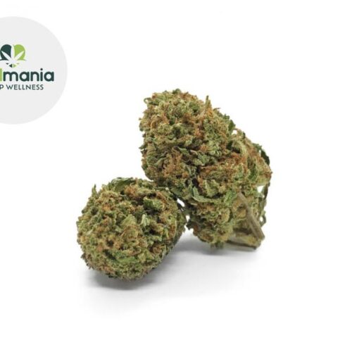 Amnesia Haze CBD 15