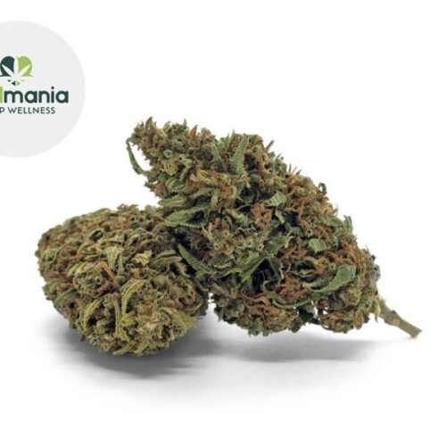 Super Skunk CBD 16