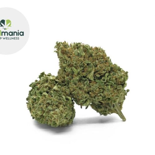 Strawberry CBD 14