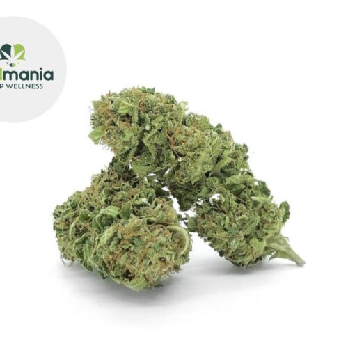White Widow CBD 13