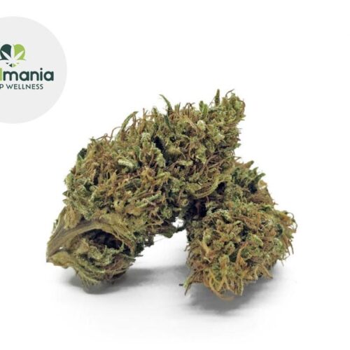OG Kush CBD 17