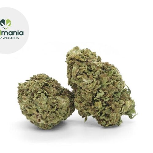 New York Diesel CBD 9
