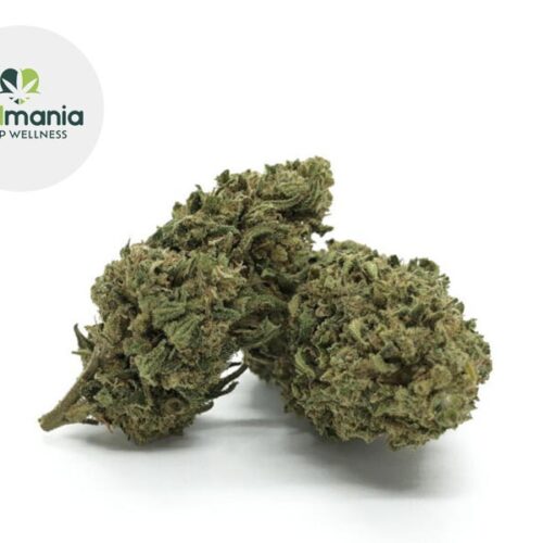 Gelato CBD 18% - CBD Mania