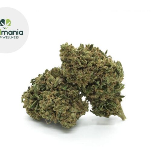 Banana OG CBD 16% - CBD Mania