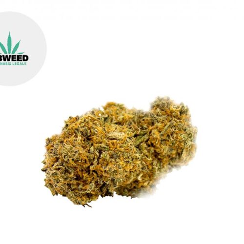 Strawberry CBD 5