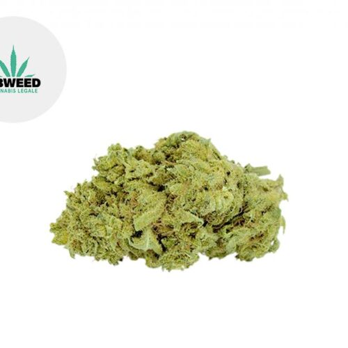 Super Silver Haze CBD 7