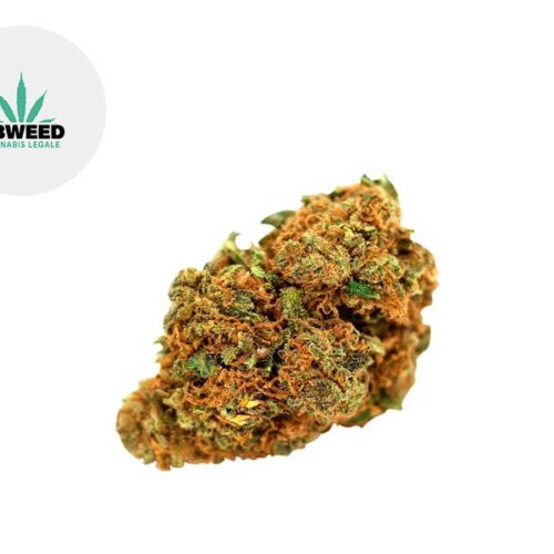Orange Bud CBD 15% - Cbweed