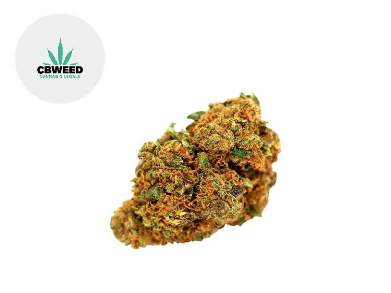 Orange Bud CBD 15% - Cbweed