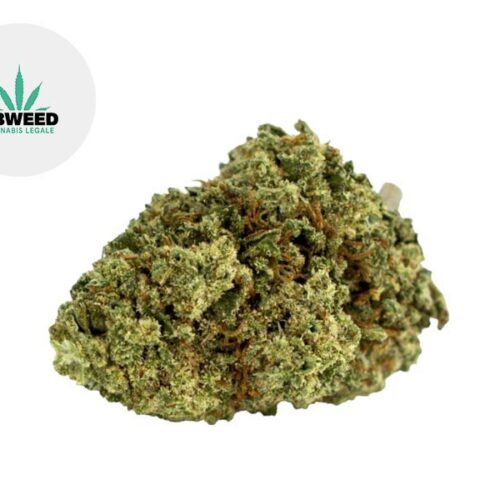 Kingston CBD 7