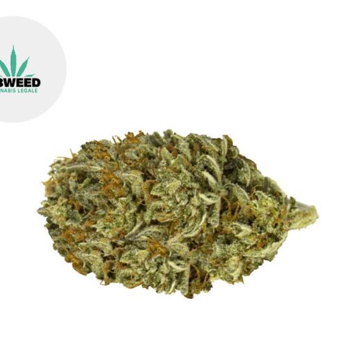 White Widow CBD 16