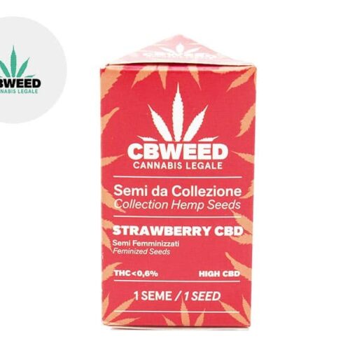 Semi Strawberry CBD auto - Cbweed