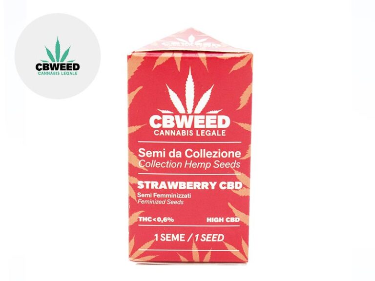 Semi CBD : Comprare i Migliori Semi di canapa light legale