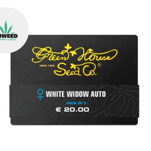 Semi White Widow CBD auto - Green House Seed