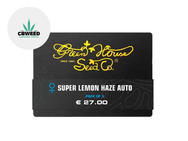 Semi Super Lemon Haze CBD auto - Green House Seed
