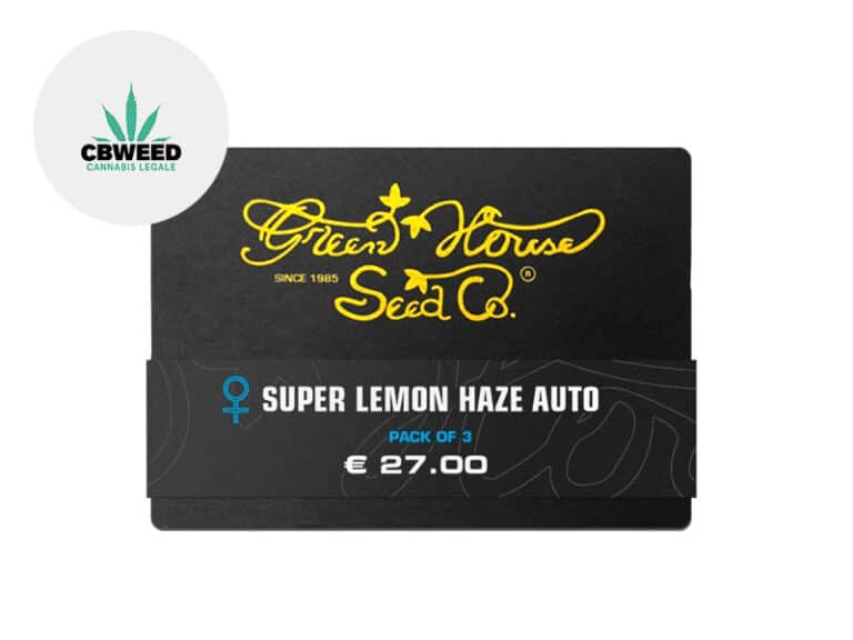 Semi Super Lemon Haze CBD auto - Green House Seed