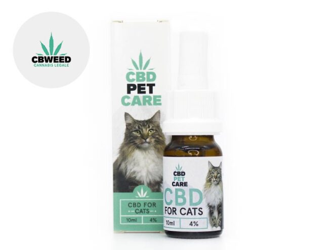 Olio CBD per Gatto 4% Cbweed