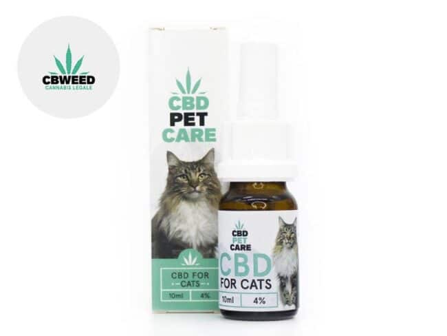 Olio CBD per Gatto 4% Cbweed