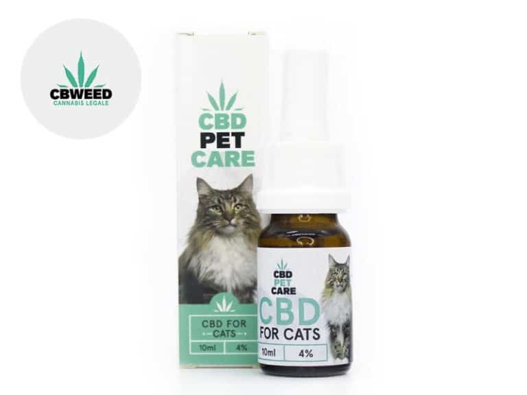 Olio CBD per Gatto 4% Cbweed