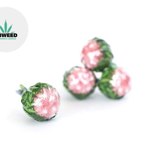Lollipop Strawberry CBD 5% - CBWeed