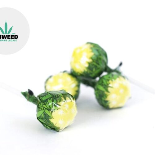Lollipop Lemon Haze CBD 5% - CBWeed