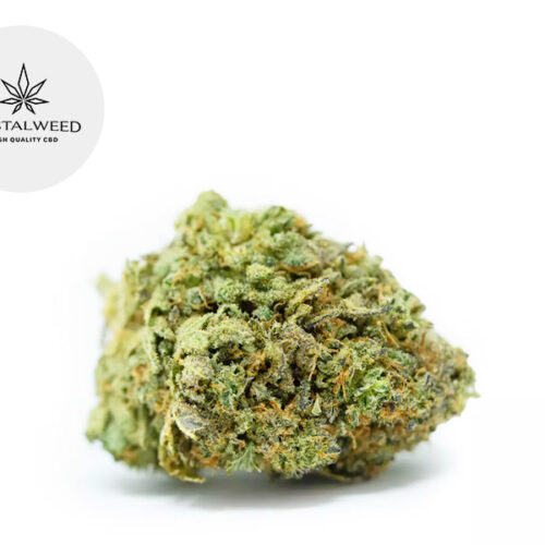 Gelato CBD 13