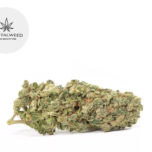 Super Silver Haze CBD 11