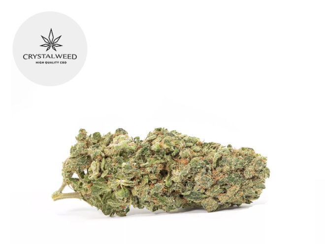 Super Silver Haze CBD 11