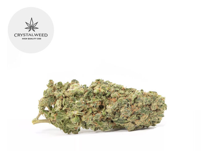 Super Silver Haze CBD 11