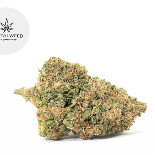 Amnesia CBD 8