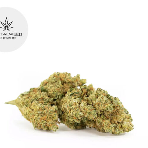 White Widow CBD 6